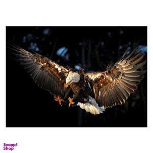 تابلو شاسی ونسونی طرح Eagle Grandeur سایز 50x70 سانتی متر