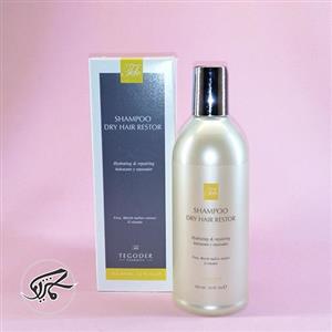 شامپو فاقد سولفات تی دی ای تگودر تقویت کننده (موهای خشک و آسیب دیده) 355 میلی Tde Tegoder Dry Hair Restor Shampoo 355ml