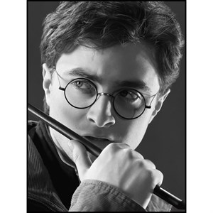 پوستر مدل harry potter