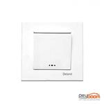 Deland ASA Single Pole Switch