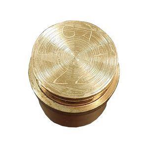 قالب دکمه مدل 22