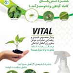 اسپری حشرکش گیاهی سبز آسا مدل vital 500 ml