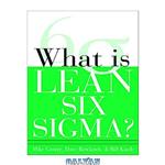 دانلود کتاب What Is Lean Six Sigma