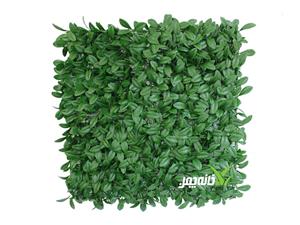 گرین وال انبه 50×50 کد 021