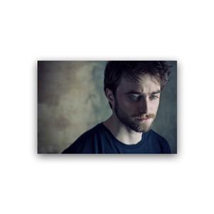 تابلو شاسی مدل دنیل رادکلیف مدل 9