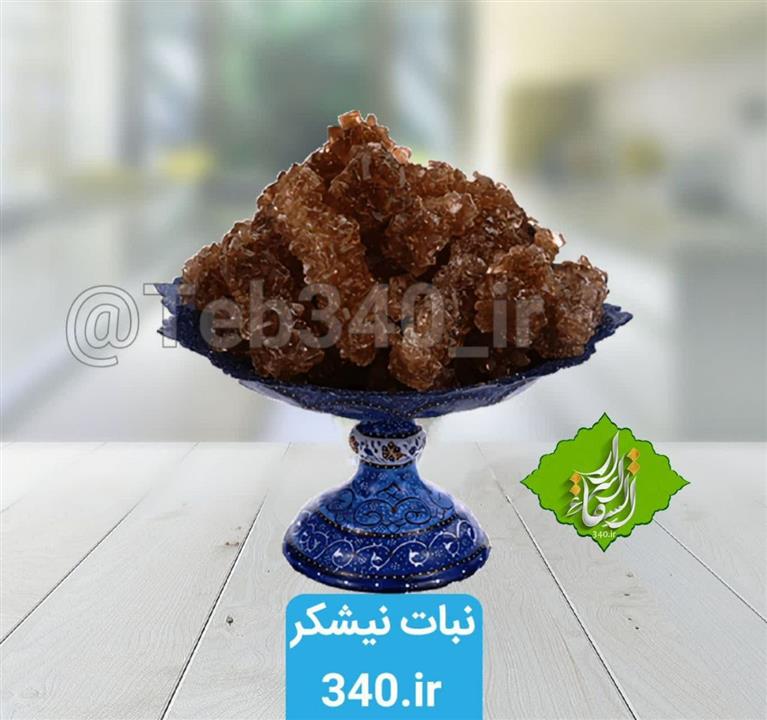 نبات نیشکر
