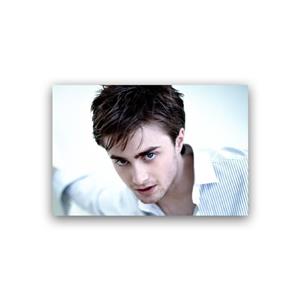 تابلو شاسی مدل دنیل رادکلیف مدل 1