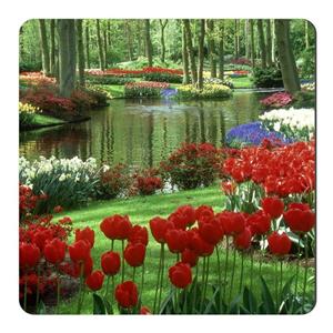 مگنت طرح باغ گلها در هلند کد NIM332 