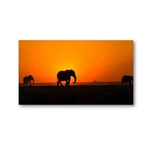 تابلو شاسی مدل فیل و غروب خورشید 