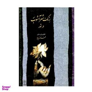 کتاب رنگ شهر آشوب در شور اثر فرامرز پایور انتشارات ماهور