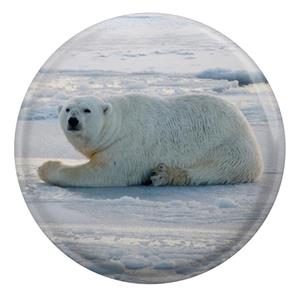 پیکسل طرح خرس قطبی مدل S1994 