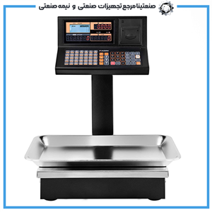 ترازو فروشگاهی پرینتردار رادین مدل 8800 PLUS 40KG