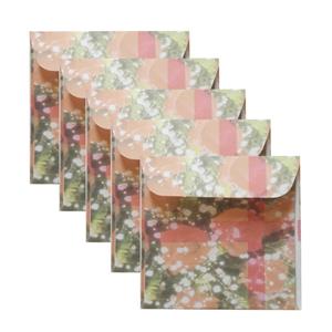 پاکت پول مدل غنچه کد 11 بسته 5 عددی