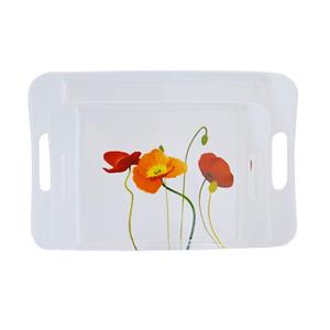سینی آوا مدل 190-580 مجموعه دو عددی