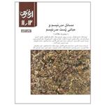 کتاب مسائل مدرنیسم و مبانی پست مدرنیسم مجموعه مقالات اثر جمعی از نویسندگان انتشارات سازمان چاپ و انتشارات جلد یازدهم و دوازدهم