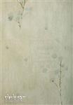کاغذ دیواری فشن کد ۴۶۳۰۳۵