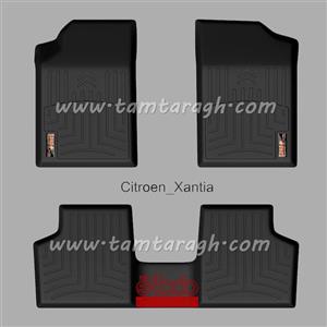 Sana 3D Car Vehicle Mat For Xantia کفپوش زانتیا برند سانا 