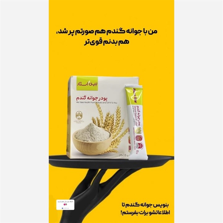 جوانه گندم