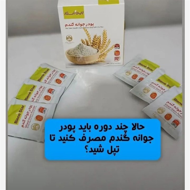 جوانه گندم