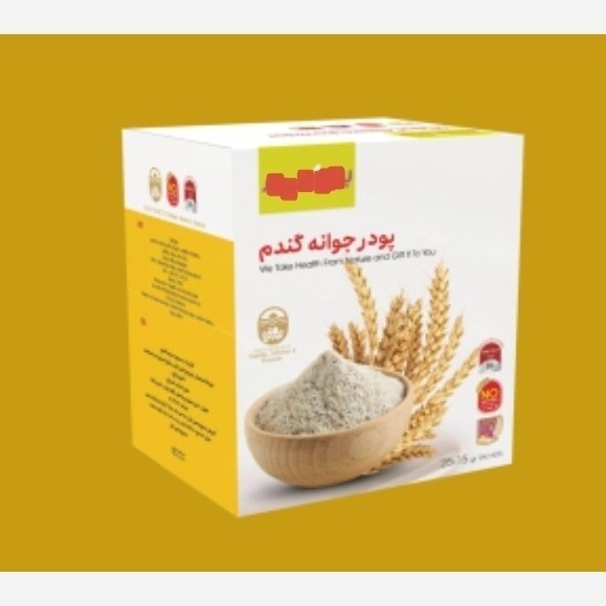 جوانه گندم