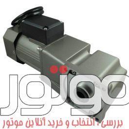 موتور گیربکس 60 وات سه فاز 173 دور بر دقیقه ساخت تایلی چین TAILI-5IK60GU-YF;5GU-7.5RH