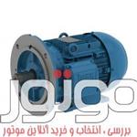 الکتروموتور وگ سه فاز 132 کیلووات 1800 دور چدنی فریم 315 مدل W21-IE2 