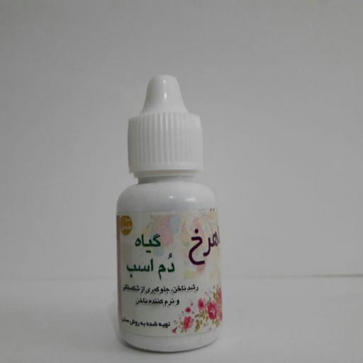 روغن گیاه دم اسب