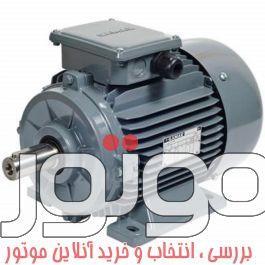 الکتروموتور وگ سه فاز 9.2 کیلووات 1800 دور چدنی فریم 160M مدل W21-IE1