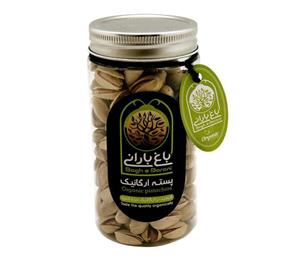 پسته ارگانیک باغ بارانی برشته مقدار 100 گرمی