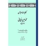 کتاب کلیات دیوان محمد امین خیابانی اثر محمد سالک رحیمی و زینب سالک رحیمی انتشارات سفیراردهال