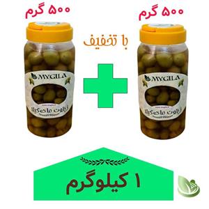 زیتون مخصوص مای‌ گیلا ۱ کیلویی