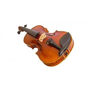 PHOENIX VT202 | ویولن Phoenix VT 202 Size 4/4 Violin