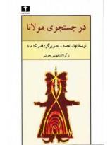 کتاب در جستجوی مولانا اثر نهال تجدد