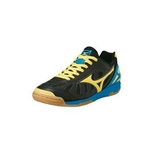 کفش فوتسال میزانو   2015 Mizuno Sala Premium Indoor