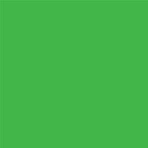 Green Velvet Curtains Backdrop 3×5 