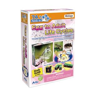 بسته آموزشی آرتک مدل چرخه زندگی از ابتدا تا بزرگسالی همراه با کتاب