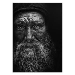 تابلو شاسی ونسونی طرح Stare To The Death  سایز 30x40 سانتی متر