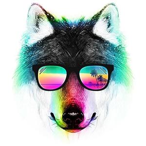 تیشرت Summer Wolf 