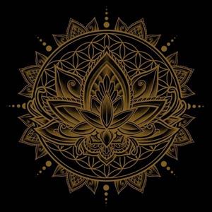 تیشرت Lotus Mandala - Gold