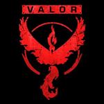 تیشرت طرح We Are Valor Poke Team 