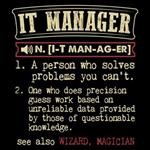 تیشرت IT Manager Funny Dictionary Term 