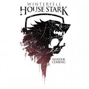 تیشرت House Stark 