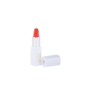 رژ لب جامد پیرونا مدل ویتامین E شماره 09 Piruna Premium Lipstick With Vitamin No09 