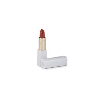 رژ لب جامد پیرونا مدل ویتامین E شماره 21 Piruna Premium Lipstick With Vitamin No21 