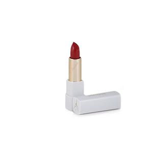 رژ لب جامد پیرونا مدل ویتامین E شماره22 Piruna Premium Lipstick With Vitamin E No22