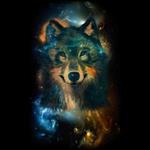 سویشرت یقه گرد Space Wolf