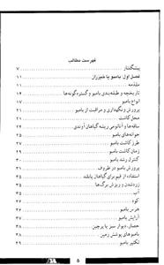 بامبو لاکی 