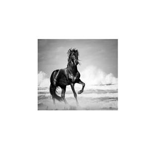 تابلو شاسی لابراتوار سهند طرح 1043 سایز 10x10 سانتی متر