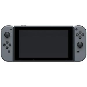 Nintendo Switch Lite With Gray Joy Con Controller 