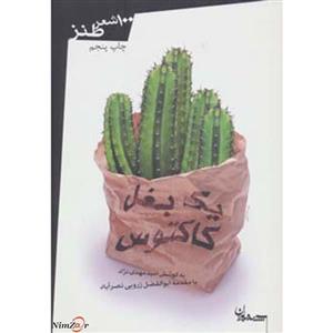 کتاب یک بغل کاکتوس اثر امید مهدی نژاد